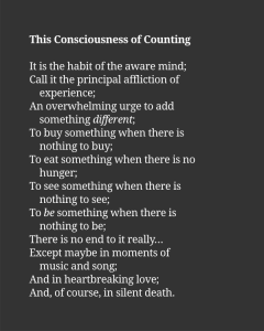 This Consciousness of Counting